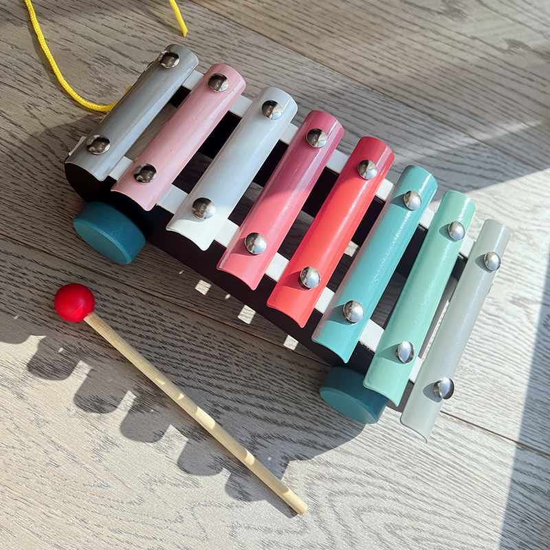 Montessori Educational Toy Set - Musical Instrument Games のレビューと価格
