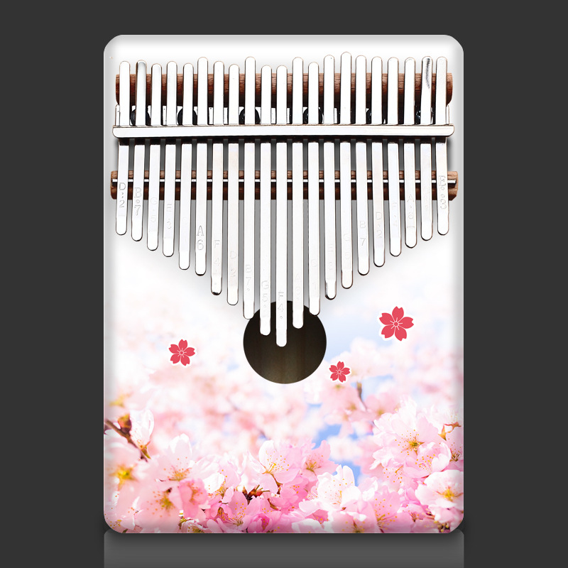 Colorful 21 Key Kalimba Kids C - A Musical Instrument With Keys のレビューと価格