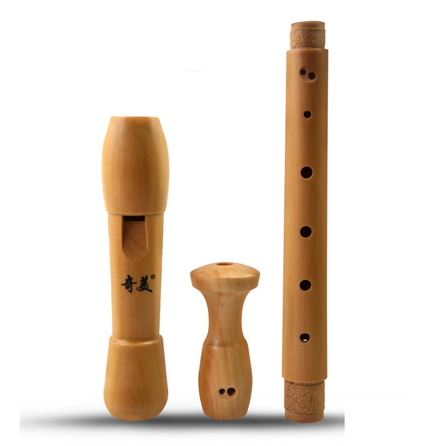 Qimei 8 Holes Alto Recorder Mu - Musical Instrument Theremin のレビューと価格