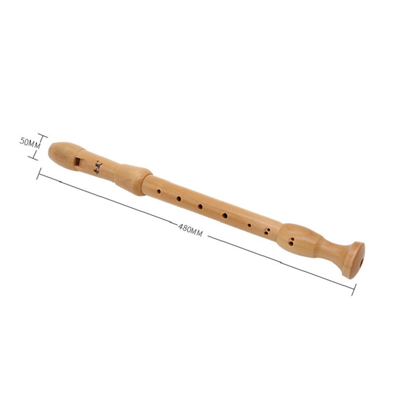 Qimei 8 Holes Alto Recorder Mu - Musical Instrument Theremin のレビューと価格