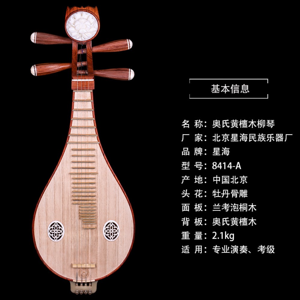 Beijing Xinghai 8414-A Rosewoo - Musical Instruments のレビューと価格