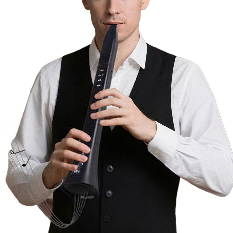 Portable Electronic Wind Instr - Musical Instruments のレビューと価格