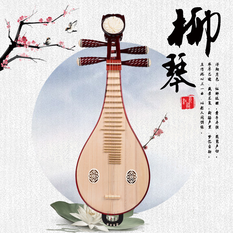 Professional Performance & Gra - Musical Instruments のレビューと価格