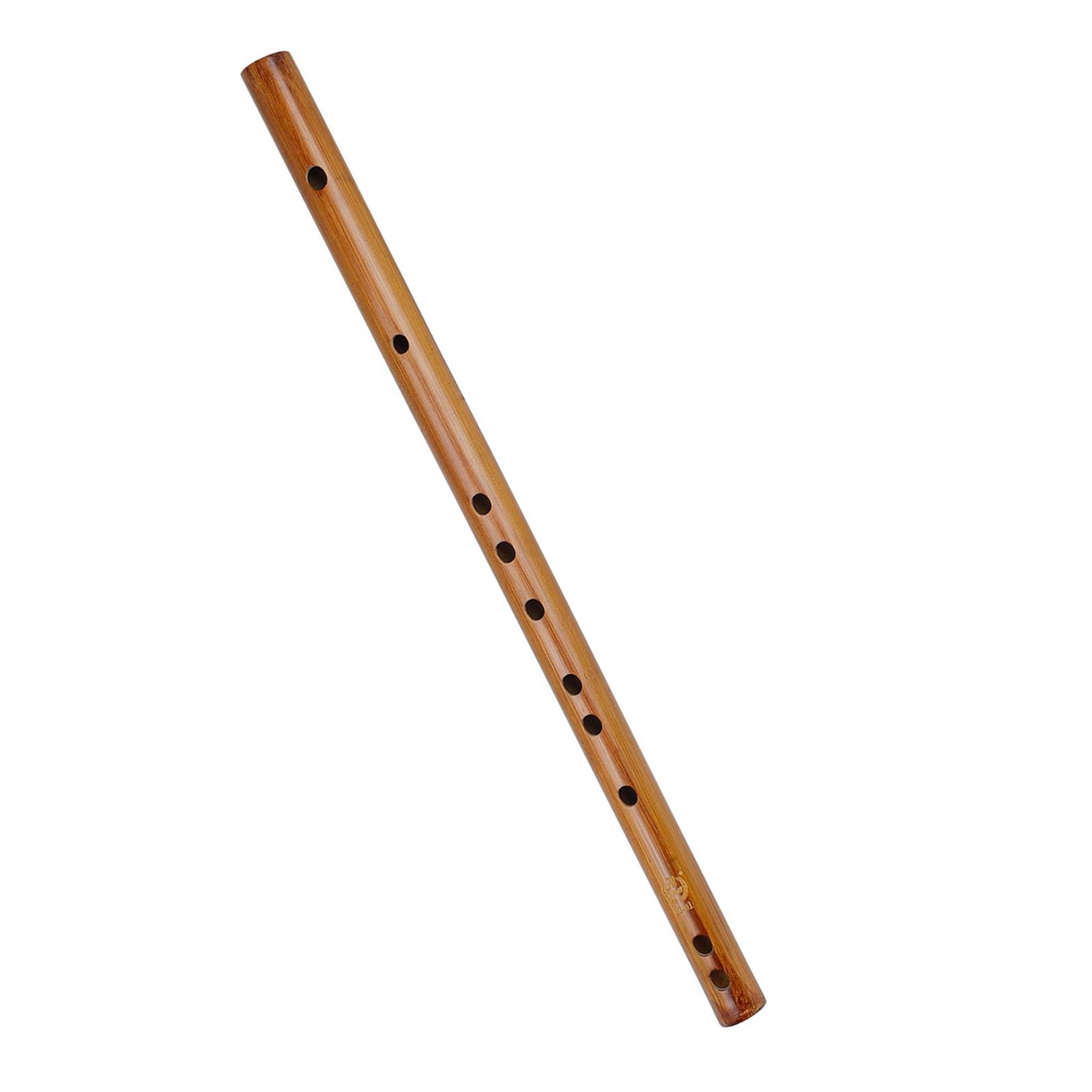 Unique Birthday Gift ,Indian W - Musical Instrument Theremin のレビューと価格
