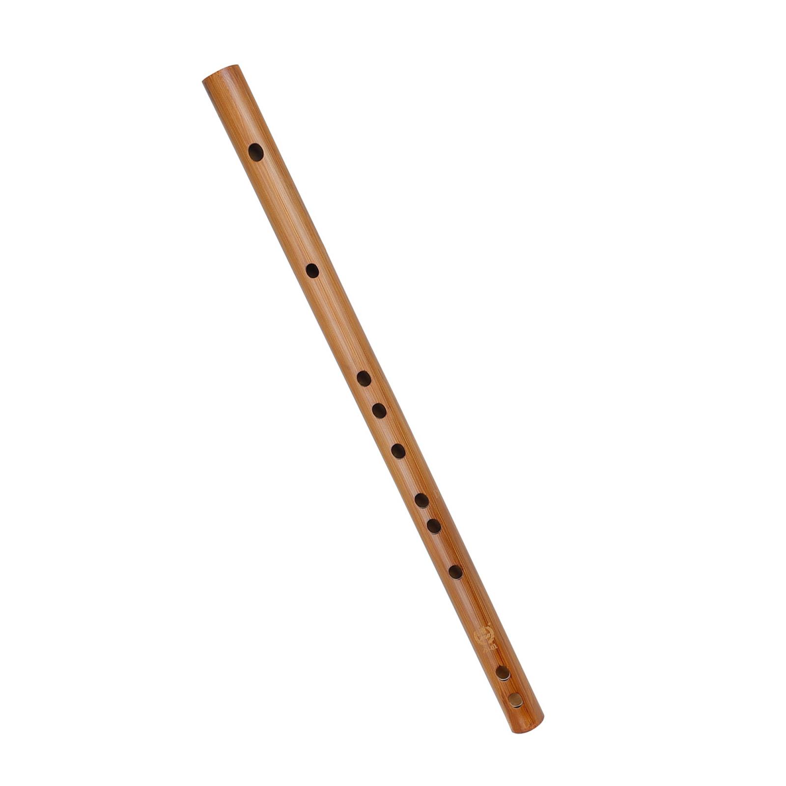 Unique Birthday Gift ,Indian W - Musical Instrument Theremin のレビューと価格
