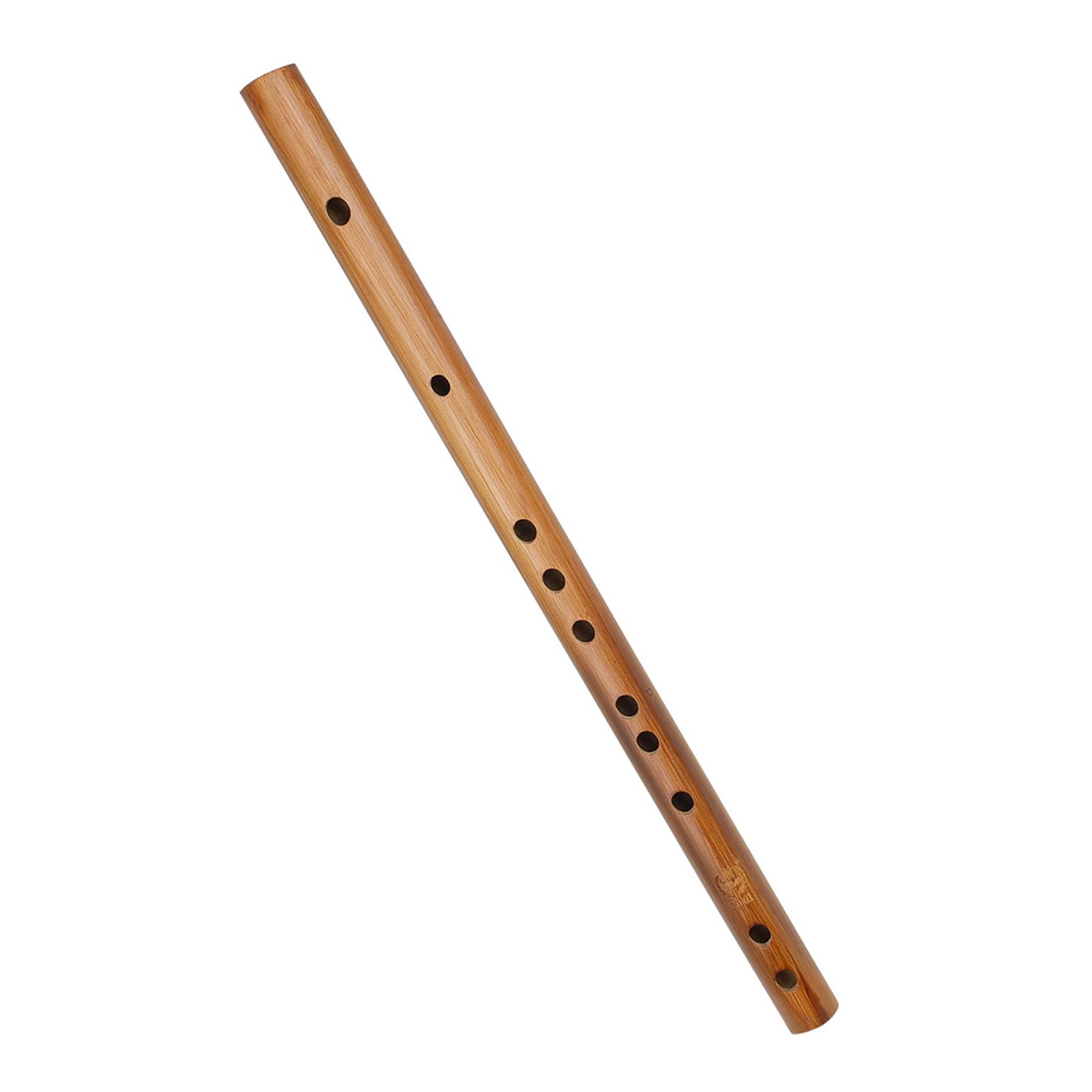 Unique Birthday Gift ,Indian W - Musical Instrument Theremin のレビューと価格