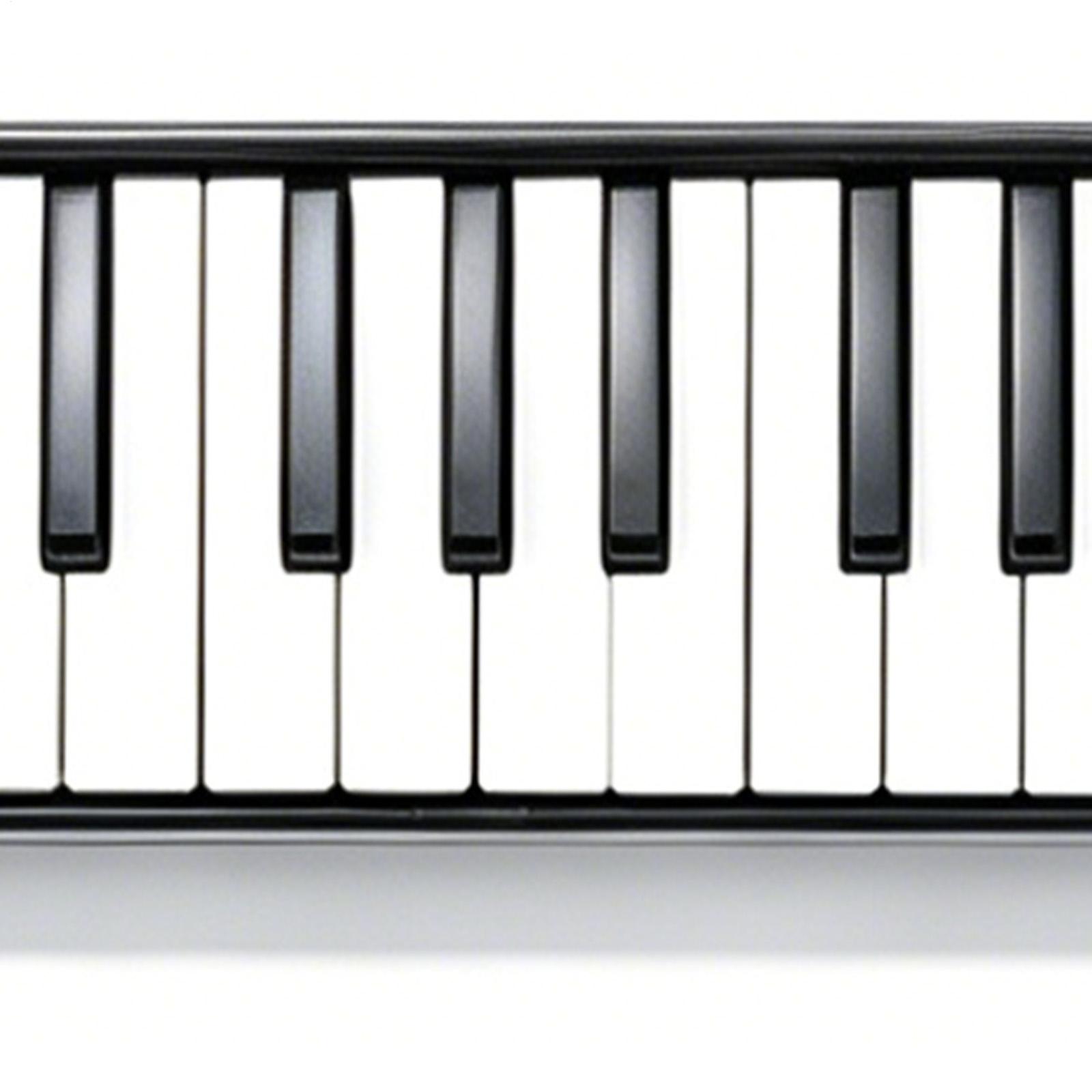 Melodica Instrument 32-Key Por - Musical Instrument Long のレビューと価格
