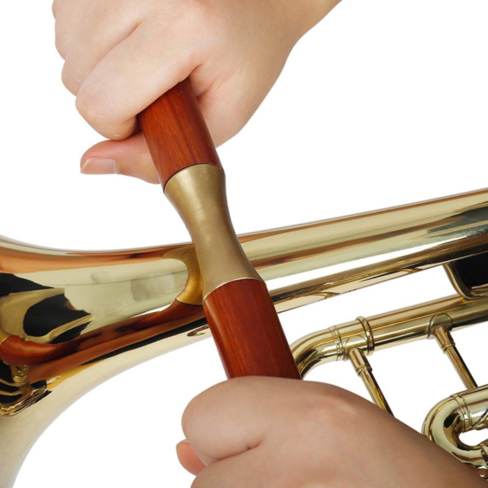 Brass Instrument Indentation R - Musical Instrument Long のレビューと価格