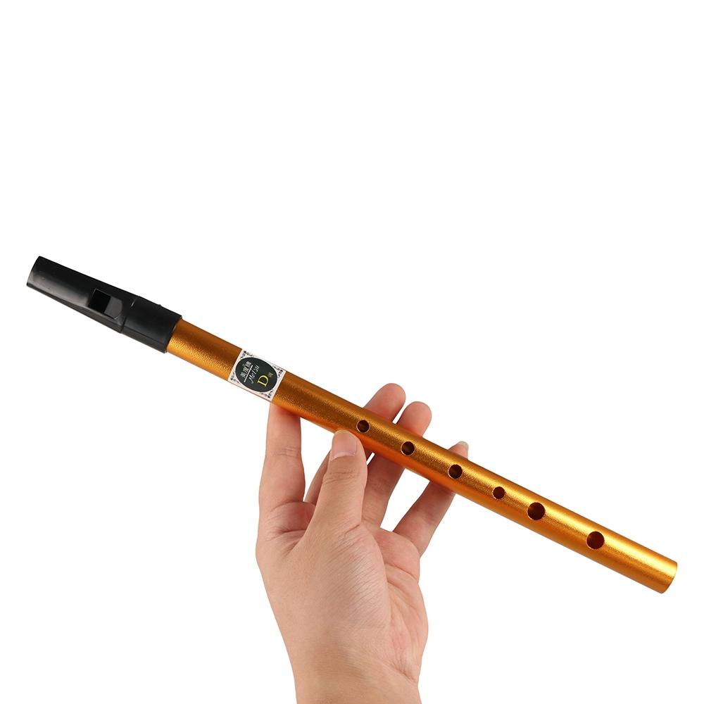 Musical Accessories 6 Hole Iri - Musical Instrument Flute のレビューと価格